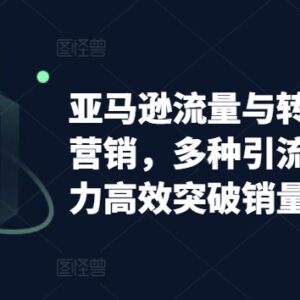 亚马逊流量与转化提升实操指南 站内外引流技巧突破销量瓶颈-雨叶虚拟资源网