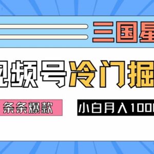 2024视频号三国冷门赛道掘金攻略 新手低门槛上手变现方法-雨叶虚拟资源网
