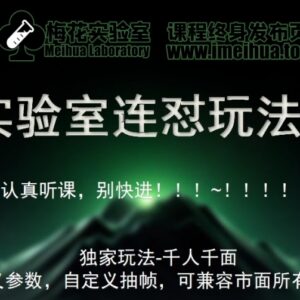 梅花实验室社群专享课 视频号连怼玩法第十期FF助手爆闪AB教程-雨叶虚拟资源网