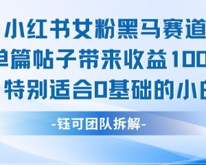 小红书女粉黑马赛道实操教程 0基础小白单篇笔记收益可达1k+-雨叶虚拟资源网