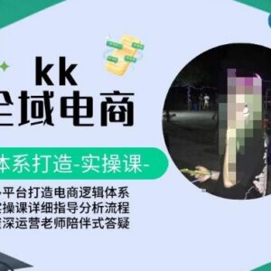 KK全域电商全体系实操课 多平台搭建完整电商运营逻辑体系-雨叶虚拟资源网