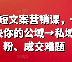 爆款短文案营销课 系统解决公域转私域涨粉、成交全链路难题-雨叶虚拟资源网