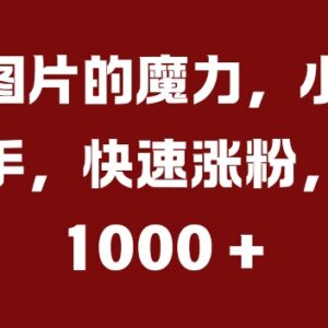 抖音美女图片类账号运营教程 小白零基础快速涨粉变现方法-雨叶虚拟资源网