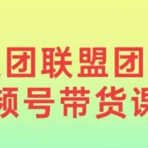 2024狼团联盟视频号带货教程 0基础小白快速入局实操全攻略-雨叶虚拟资源网