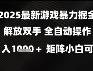 2025全自动游戏掘金项目介绍 小白可做矩阵玩法日入超千元-雨叶虚拟资源网