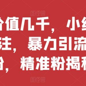 小红书无限关注批量引流精准创业粉工具操作及抗封指南-雨叶虚拟资源网