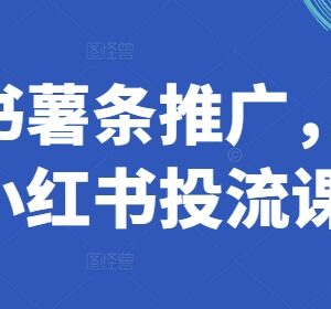 2024小红书薯条投流课程 全流程投放实操技巧精讲-雨叶虚拟资源网