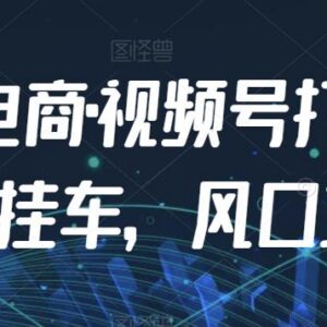 九门电商视频号实操课程 短视频挂车打爆玩法全步骤解析-雨叶虚拟资源网