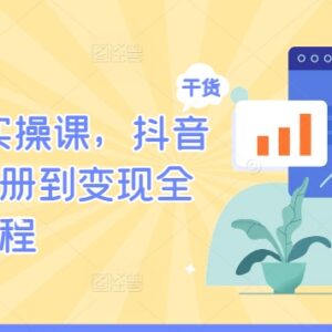 抖音海外版TikTok运营实操课 从注册到变现全流程教学-雨叶虚拟资源网