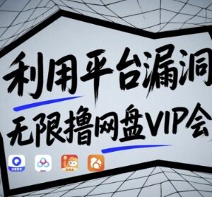 多款主流网盘VIP会员免费获取教程 附漏洞原理及实操演示-雨叶虚拟资源网