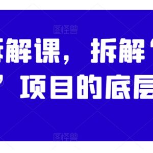 案例拆解课：带你搞钱项目底层逻辑与商业IP打造实操指南-雨叶虚拟资源网