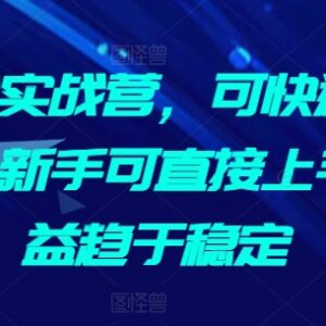 AI掘金实战营实操教程 新手用AI写爆文获稳定收益上手指南-雨叶虚拟资源网