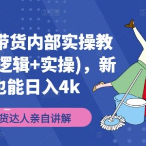 视频号带货全流程实操教学 新手从起号到变现实用指南-雨叶虚拟资源网