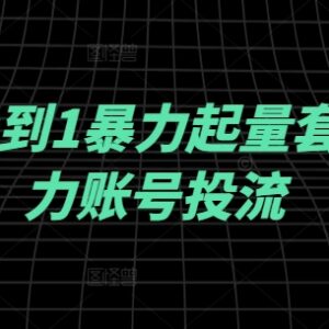 千川投流从0到1实操指南 新手账号起量投放全流程教程-雨叶虚拟资源网