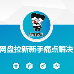 网盘拉新新手痛点解决指南 资源引流及变现全流程优化方案-雨叶虚拟资源网