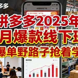 拼多多2025年9月爆款运营线下班 爆单实操玩法学习资料-雨叶虚拟资源网