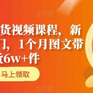 AI图文带货新人入门课程 含月销6万+全流程实操技巧-雨叶虚拟资源网