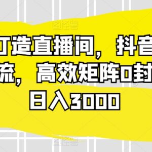 AI打造抖音无人直播间 蓝海搜索流矩阵运营零封号实操攻略-雨叶虚拟资源网
