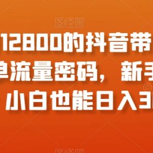 抖音带货新奇爆单玩法教程 新手零门槛入局可快速上手盈利-雨叶虚拟资源网