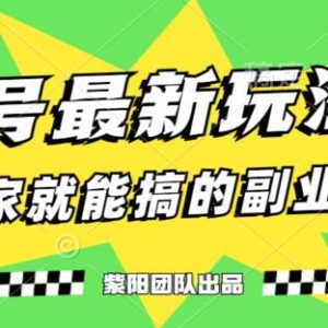 0粉即可实操的影视号最新玩法 挂载课程月变现6000+全流程教程-雨叶虚拟资源网