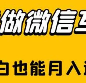 微信互推项目全流程实操攻略 新手小白可落地月入过万-雨叶虚拟资源网