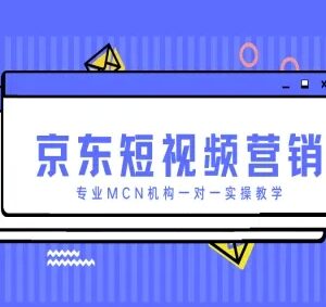 京东短视频营销实操教程 专业MCN机构一对一教学指南-雨叶虚拟资源网
