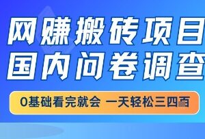 国内问卷调查网创搬砖项目详解 小白易上手日入可达三四百-雨叶虚拟资源网