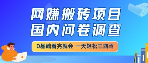 国内问卷调查网创搬砖项目详解 小白易上手日入可达三四百