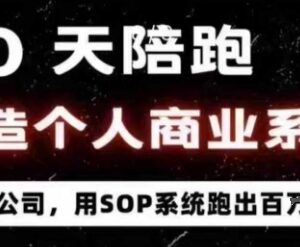 40天陪跑打造个人商业系统 SOP+AI工具实现百万变现实操课-雨叶虚拟资源网