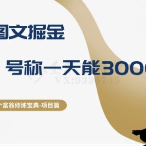 AI图文掘金项目深度实测 单日赚3000+的说法靠谱吗-雨叶虚拟资源网
