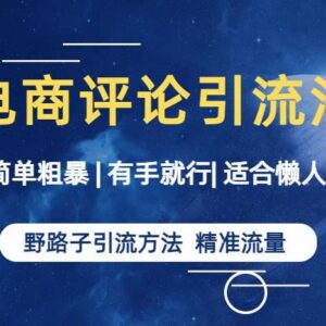 电商平台评论区野路子引流方法 操作简单适合新手懒人精准获客-雨叶虚拟资源网