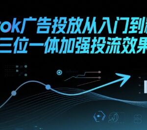 TikTok广告投放从入门到精通 三位一体策略强化投流效果-雨叶虚拟资源网