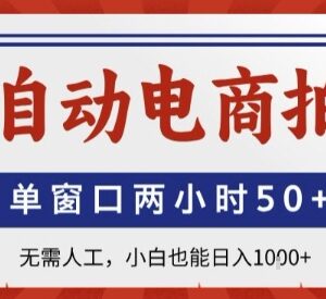 全自动电商拍手项目介绍 零成本无需人工小白也能轻松上手-雨叶虚拟资源网