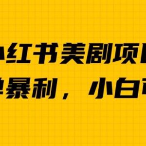 小红书美剧赛道盈利项目玩法揭秘 操作得当可实现单日收益超千元-雨叶虚拟资源网
