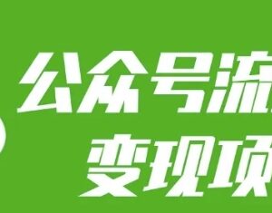 2024公众号流量主变现攻略 普通人做副业每月可增收三五千-雨叶虚拟资源网