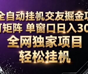 AI全自动聊天交友掘金项目解析 矩阵操作单窗口收益说明-雨叶虚拟资源网