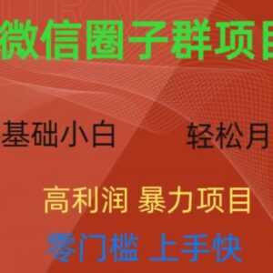 零门槛微信资源圈子群项目拆解 单群1元轻松实现日入300+-雨叶虚拟资源网