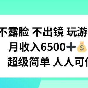 不露脸不出境玩游戏赚收益 适合普通人的轻门槛副业实操教程-雨叶虚拟资源网