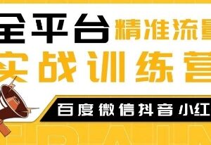 2024全平台精准流量实战训练营 百度微信抖音小红书SEO教程-雨叶虚拟资源网