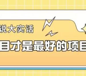 卖项目赚钱核心逻辑揭秘 做好一单收益可达3000+的关键要点-雨叶虚拟资源网