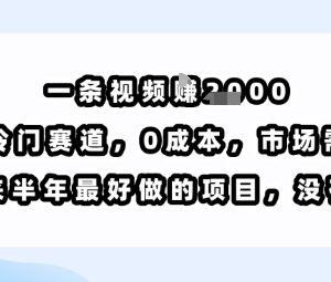 0成本冷门短视频赚钱项目详解 单条内容最高可获千元收益-雨叶虚拟资源网