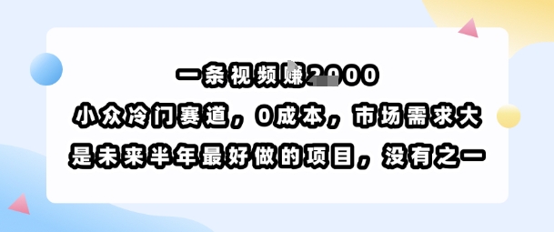 0成本冷门短视频赚钱项目详解 单条内容最高可获千元收益