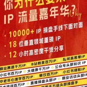 2024群响IP流量嘉年华现场视频及IP江湖典藏版PPT资料合集-雨叶虚拟资源网