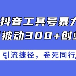 2024年抖音工具号引流攻略 每日被动获取300+创业粉实操教程-雨叶虚拟资源网