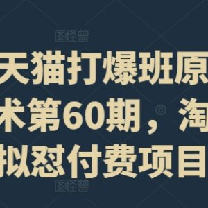 淘宝天猫打爆班第60期 虚拟品付费运营全流程实操教程-雨叶虚拟资源网