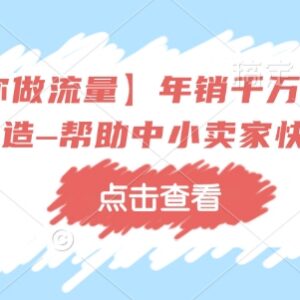 年销千万级淘系商家打造教程 中小卖家运营提升实操干货-雨叶虚拟资源网