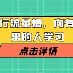 360行流量爆破实操教程 跟着有大结果的人学抖音短视频运营-雨叶虚拟资源网