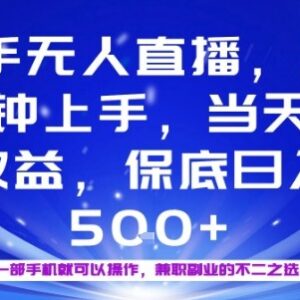 2025年最新快手无人直播副业玩法 门槛低易上手操作当日即可获收益-雨叶虚拟资源网