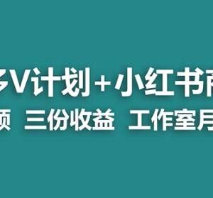 多多V计划+小红书商单实操玩法 单视频可获三份收益教程-雨叶虚拟资源网
