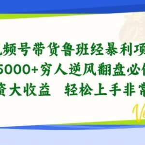 视频号鲁班经带货项目实测 低门槛新手稳定获利玩法拆解-雨叶虚拟资源网